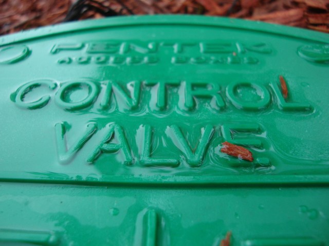 control freak i think they mean