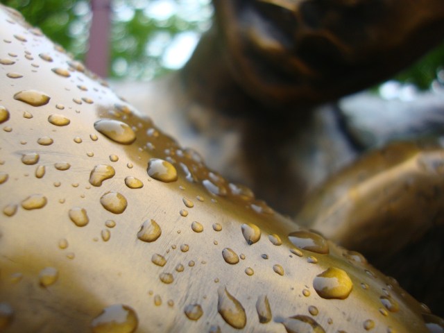 how do you feel today